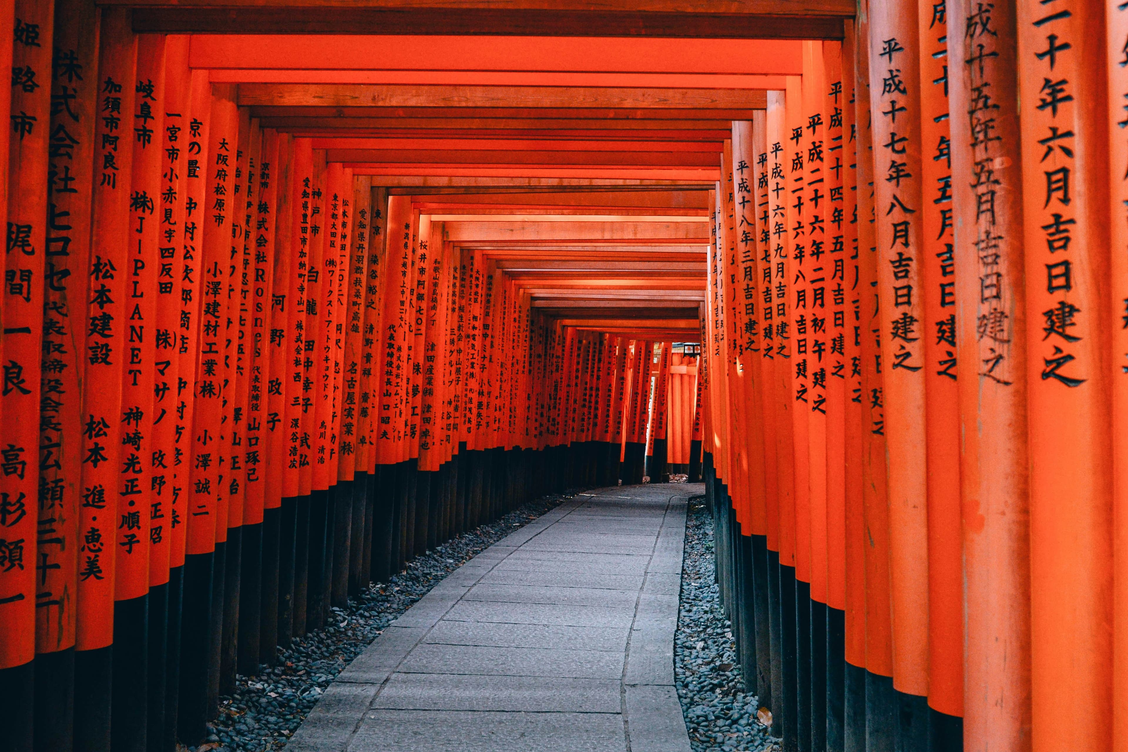 Solo Travel in Japan – A Three-Week Adventure